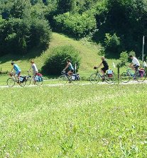 ciclo