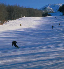 sciare_sul_monte_amiata