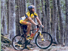 Amiata in bicicletta